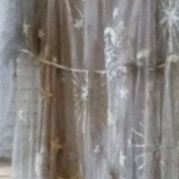 NWT Plus Size 26 Sheer Celestial Dress and Lining - Picture 8 of 8